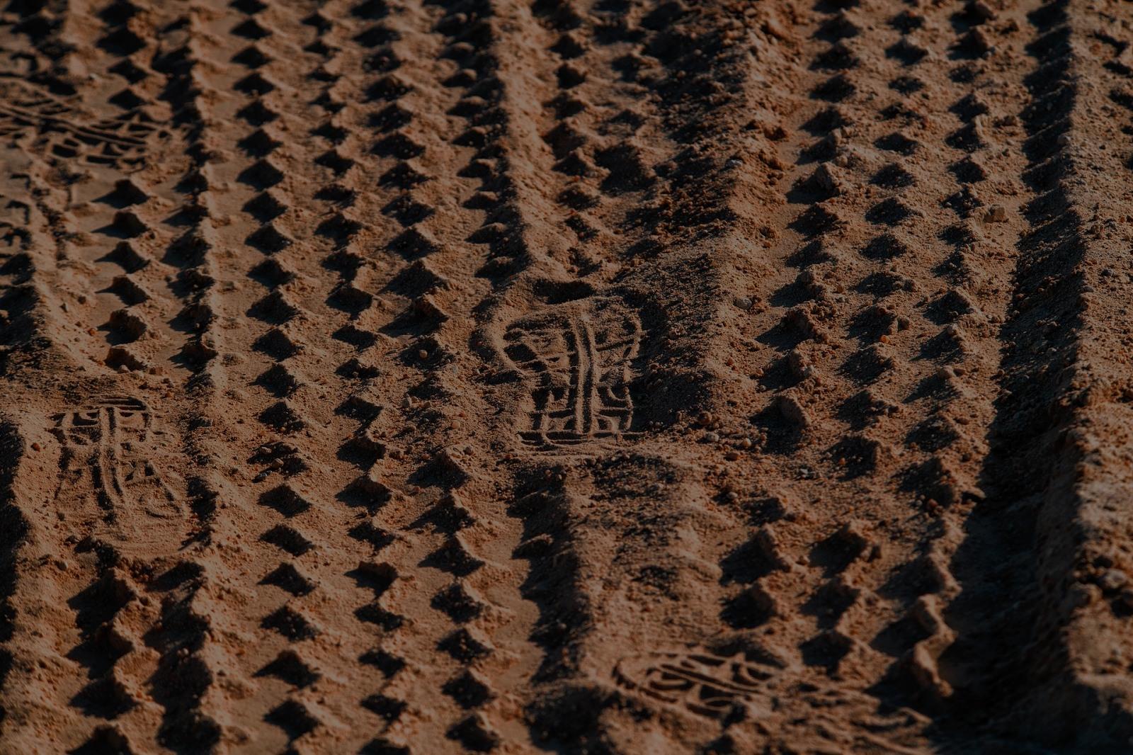 People and Employment in Webuild